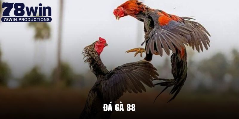 Đá gà 88